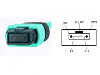MPO-MPO 12芯光纖跳線